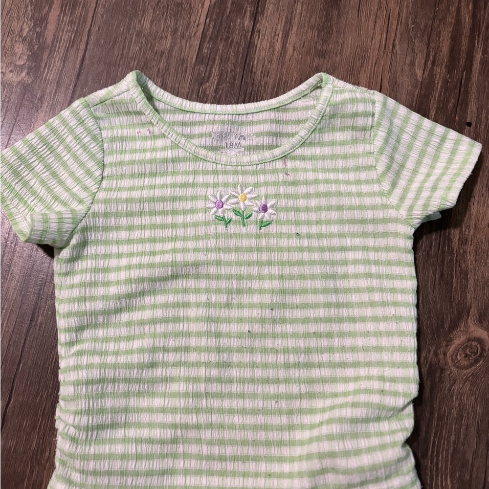 Garanimals Green and White Striped Tee with Floral Embroidery